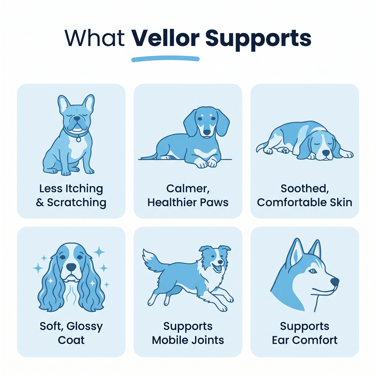 Vellor Premium Liquid Collagen