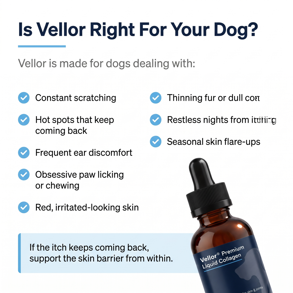 Vellor Premium Liquid Collagen