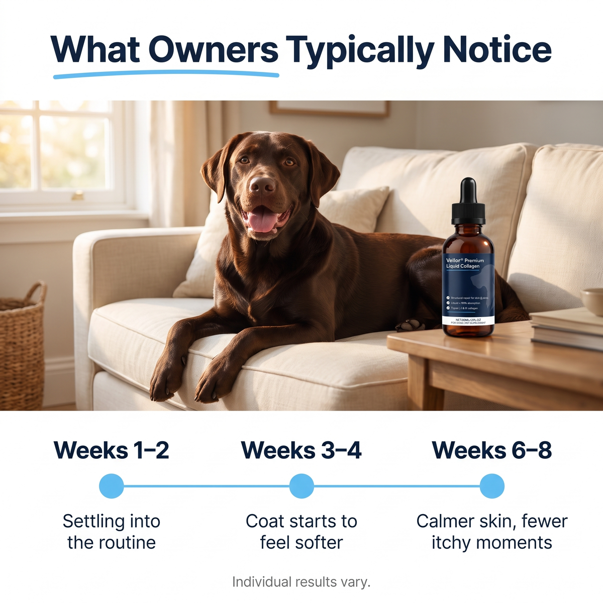 Vellor Premium Liquid Collagen