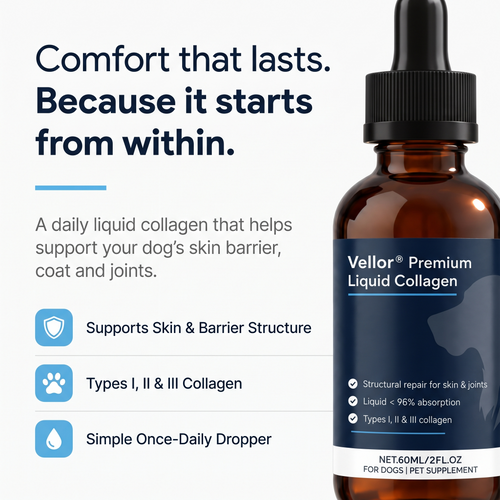 Vellor Premium Liquid Collagen