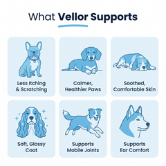 Vellor Premium Liquid Collagen