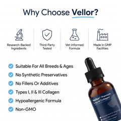 Vellor Premium Liquid Collagen