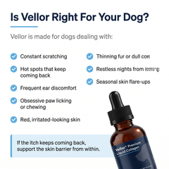 Vellor Premium Liquid Collagen