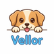 Vellor logo