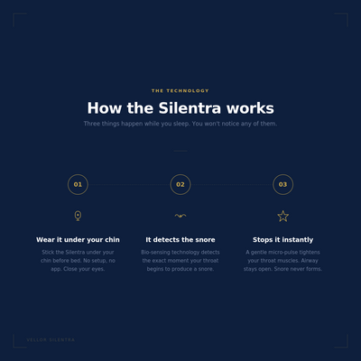 Vellor Silentra
