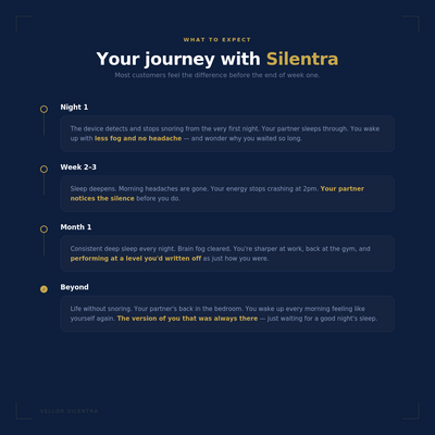 Vellor Silentra