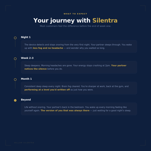 Vellor Silentra