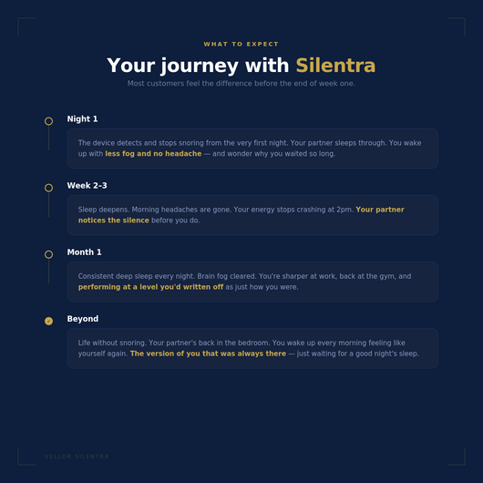 Vellor Silentra